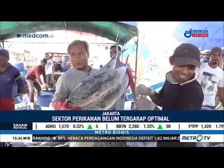 Mengoptimalkan Sektor Perikanan Untuk Menjadikan Komoditas Primadona Ekspor