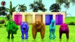Animals Kids Matching Game For Kids || animals eggs || lion tiger gorilla cheetah  bear