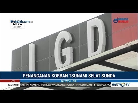 Ini Tiga Kendala Identifikasi Korban Tsunami Selat Sunda