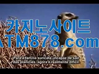 ね 더킹바카라 룰렛게임≤≤ｍｓｔ272。C0M≥≥크레이지슬롯 モ기선 제압에 성공한モ