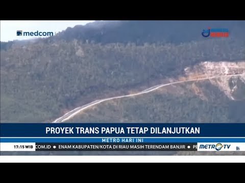 Proyek Trans Papua Pasti Dilanjutkan Setelah Situasi Kondusif