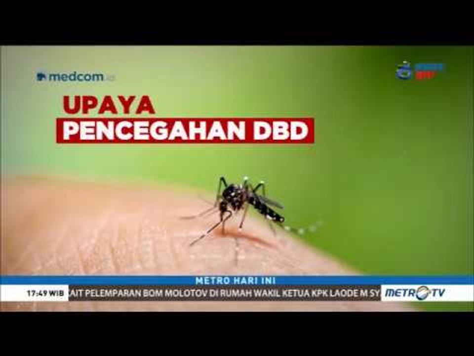Pasien Penderita DBD Meningkat