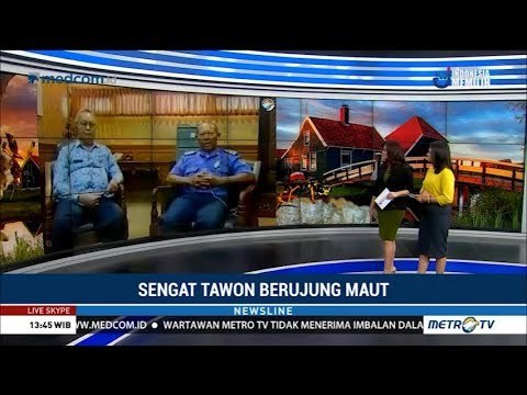 Sengat Tawon Berujung Maut