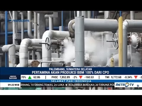 RI Keren! Pertamina Siap Produksi BBM 100 Persen dari Minyak Sawit