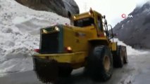 Hakkari-Çukurca karayoluna çığ düştü