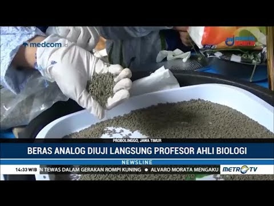 Beras Analog Karya Anak Bangsa