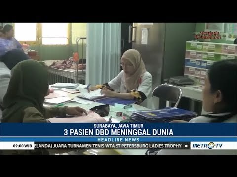 Tiga Pasien DBD di RSUD Dr Soetomo Meningga Dunia