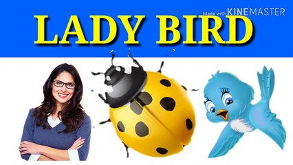 Emoji quiz game ! 90%people fail to pass this game ! Emoji challange !