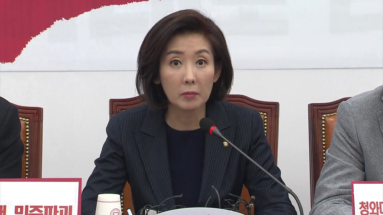 나경원 "3대 날치기 악법, 좌파 장기집권 플랜" / YTN