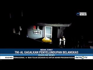 TNI AL Gagalkan Penyelundupan 7 Ribu Belangkas Ilegal