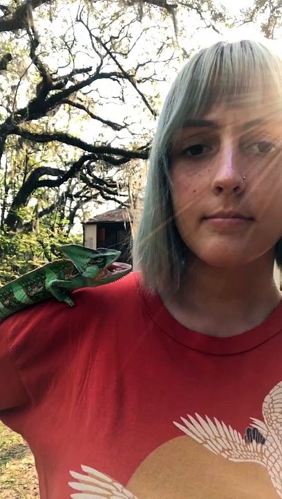 Naughty Chameleon hilariously shocks owner with surprise kiss