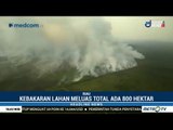 Kebakaran Lahan di Riau Meluas