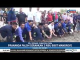 Prananda Paloh Serahkan 2 Ribu Bibit Mangrove untuk Warga Deli Serdang
