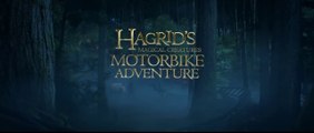 Hagrid's Magical Creatures Motorbike Adventure  Trailer Universal's Islands of Adventure