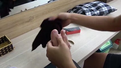 영천출장마사지【후불1ØØ%ョ】Ø7Øb7575vØØ62【카톡OYO78】##O영천전지역출장안마'영천출장맛사지'샵영천출장마사지'콜걸'출장안마'20대여대생！♩♬☜'출장마사지'출장안마후기''출장마사지'출장안마후기'