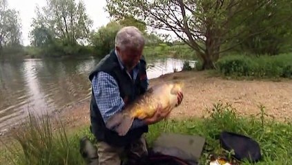 john wilson's 20 greatest catches Part.2