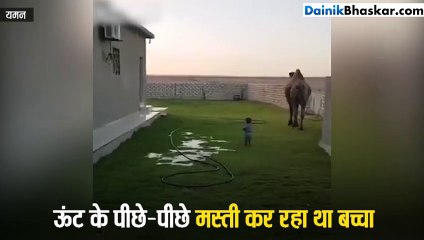 ऊंट के पीछे-पीछे मस्ती कर रहा था बच्चा, हो गया हादसा