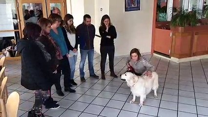 Besançon : journée de sensibilisation des professionnels du chien et de l’enfant à la relation responsable avec l’animal