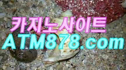 ネ슬롯머신 ┣─▶ｓｔｋ424、coM◀─┫