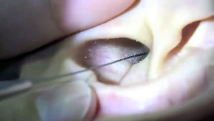 익산출장마사지【후불1ØØ%ョ】Ø7Ø_7575_ØØ69【카톡MGM1472】##L익산전지역출장안마'익산출장맛사지'샵익산출장마사지'콜걸'출장안마'20대여대생！чшщ'출장마사지'출장안마후기'출장콜걸