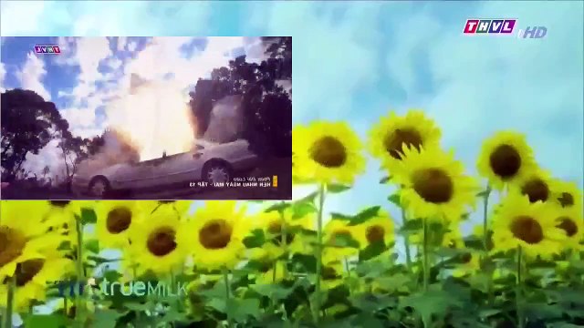 Hẹn Nhau Ngày Mai Tập 13 ** Phim Đài Loan ** hẹn nhau ngày mai tập 14 ** THVL1 Lồng Tiếng ** Phim Hen Nhau Ngay Mai Tap 13