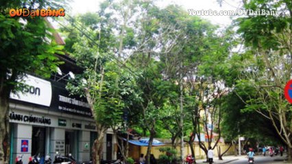 Ca sỹ Châu Việt Cường sử dụng m.a t.ú.y 3 lần trước khi nhét tỏi đầy mồm cô gái