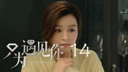 只為遇見你 14 | Nice To Meet You 14【TV版】（張銘恩、文詠珊、魏千翔等主演）