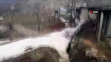 Kestiği ağacın altında kalmaktan son anda böyle kurtuldu