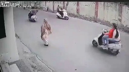 Assommés par un poteau téléphonique au guidon d'un scooter !