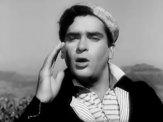 Don't Take Me Alive - Steely Dan Live