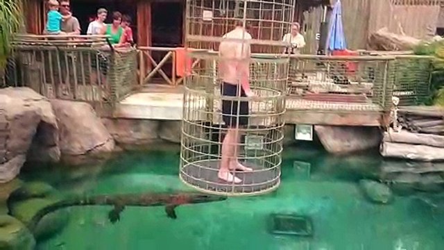Se baigner dans une piscine avec des crocodiles, experience incroyable