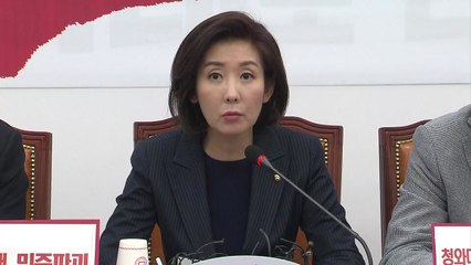 선거제 개편안 여야 합의...한국당 반발 / YTN