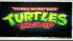 Teenage Mutant Ninja Turtles: Smash-Up - Personajes (2)