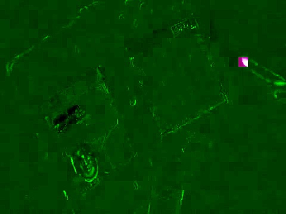 A Little Brain Training - Anuncio japonés (2)