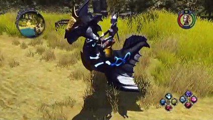 Sacred 2: Fallen Angel - Monturas