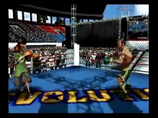 Ready 2 Rumble: Revolution - Luchas