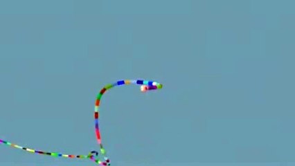 Noby Noby Boy - Largo