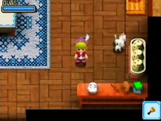 Harvest Moon: Welcome to the Wind Bazaar - Animales