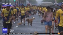 [이 시각 세계] 개와 함께 달리기…필리핀서 1천여 명 참가