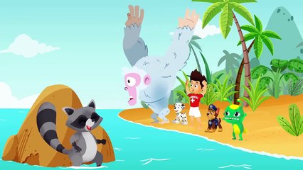 Paw Patrol & Groovy le Martien à SuperZoo - Pups save le ballon de soccer de travail tous les amis togethe