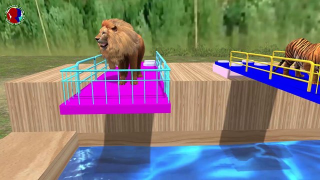 Learn Animals Names For Kids || Learn Color Fruits For Toddlers || lion tiger bear gorilla cheetah elephant