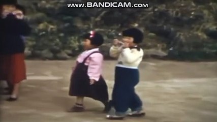 토토솔루션임대, 토토솔루션분양, BK토토솔루션