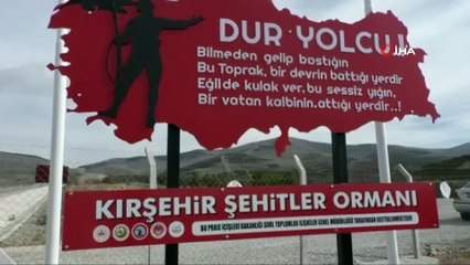 Kırşehir’de Şehitler Haftası'nda hatıra ormanı oluşturuldu