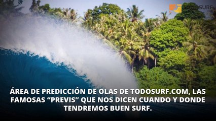 Las olas: qué las produce, tipos, altura, periodo, dirección