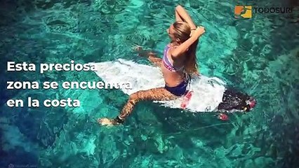 LAS 5 MEJORES PLAYAS PARA SURFEAR EN MARZO - Nivel Intermedio - TODOSURF