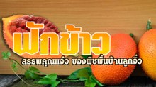 ฟักข้าว สรรพคุณแจ๋วประโยชน์ของพืชพื้นบ้านลูกจิ๋ว