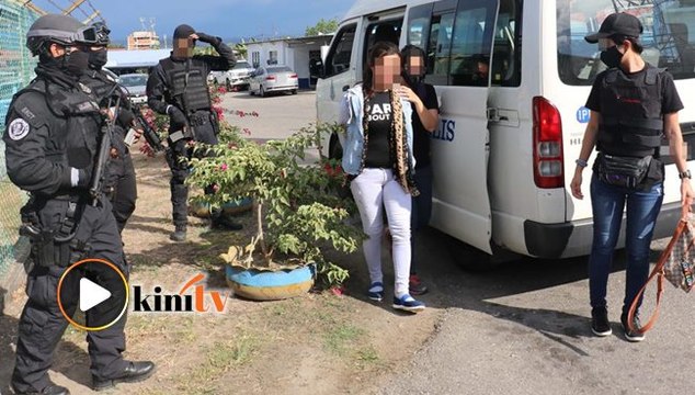 13 individu ditahan terlibat kumpulan pengganas