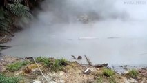 Steam Rises From Boiling Lake