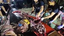 Dead Philippines whale had 40kg of plastic in stomach