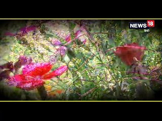 हरे-भरे खेतों में शंख बजाकर फूलदेई लोकपर्व को मनाते हैं बच्चे